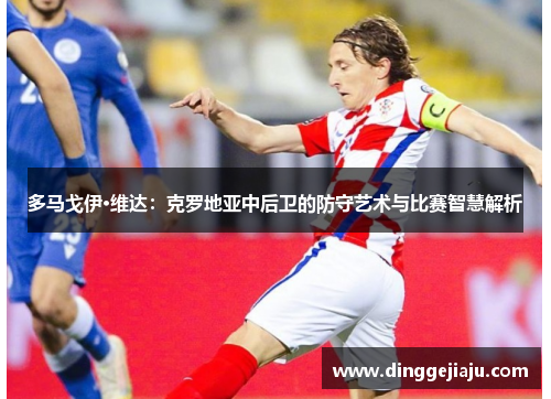 多马戈伊·维达：克罗地亚中后卫的防守艺术与比赛智慧解析